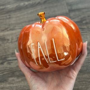 Iridescent Rae Dunn Fall Pumpkin